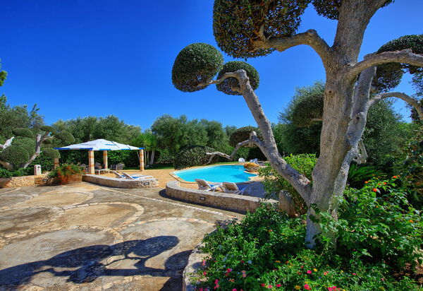 Lamia Santo Arcangelo: Garten, Schwimmbad