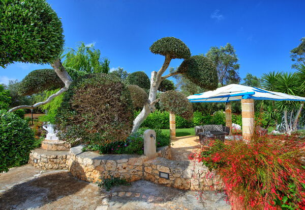 Lamia Santo Arcangelo: Draussen, Garten