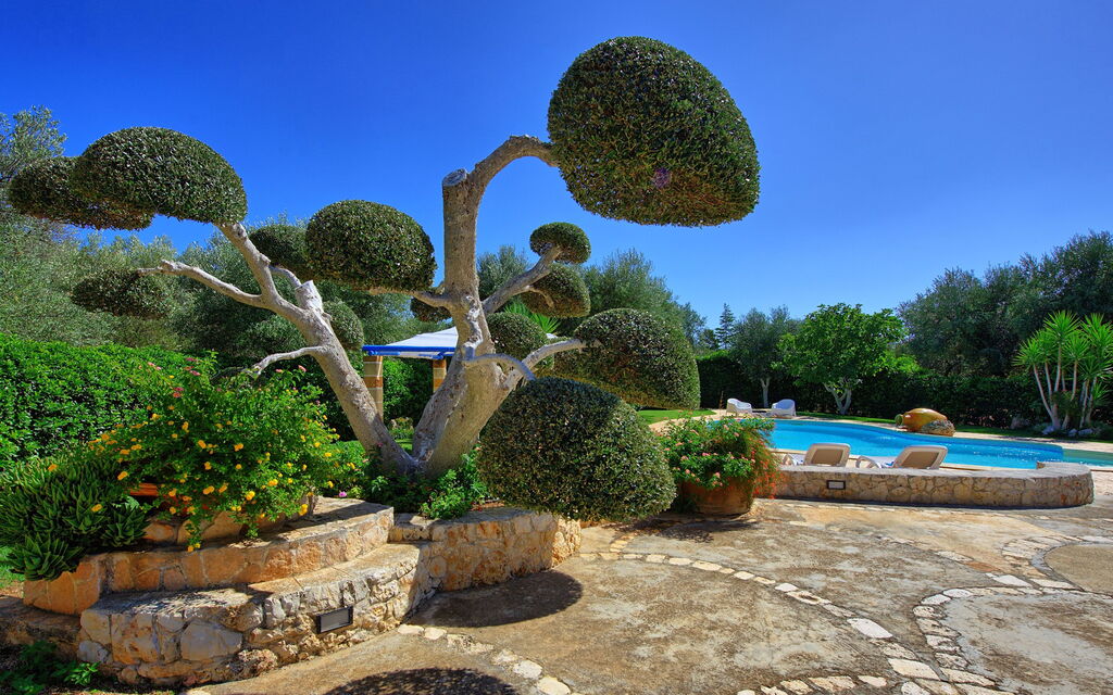 Lamia Santo Arcangelo: Garden