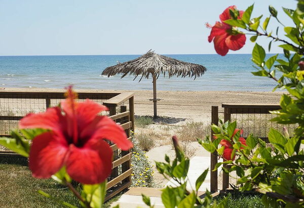 Villa Ariel: Draussen