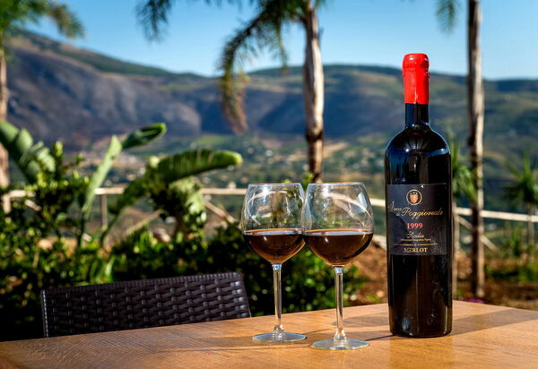 Villa Le Muse: Открытый