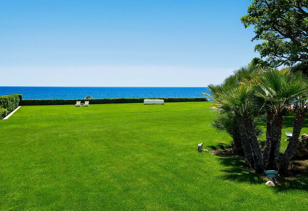 Blu Moon: Keer bekeken, Tuin