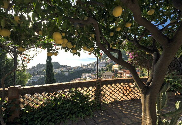 Villa La Boheme: Jardin, Vues