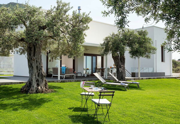 Villa Nettuno: Draussen, Garten