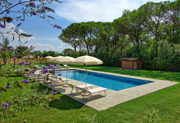 Villa Cangeli: Draussen, Garten, Schwimmbad