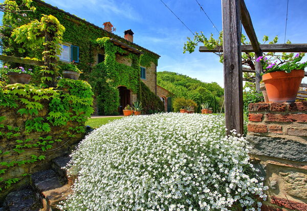 Villa Edo: Draussen, Garten