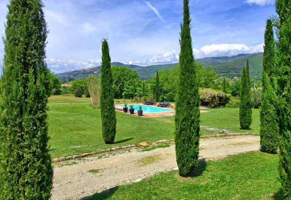 Villa Edo: Draussen, Garten, Schwimmbad