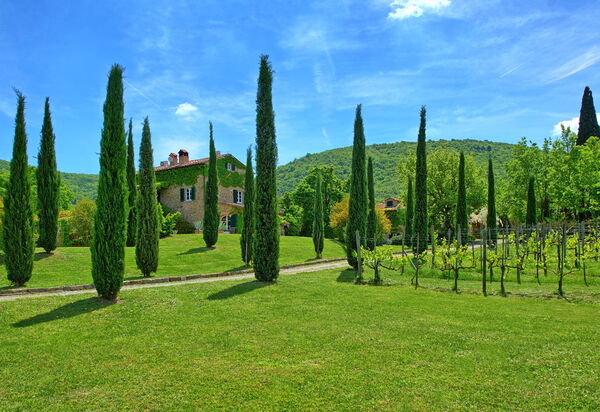 Villa Edo: Draussen, Garten