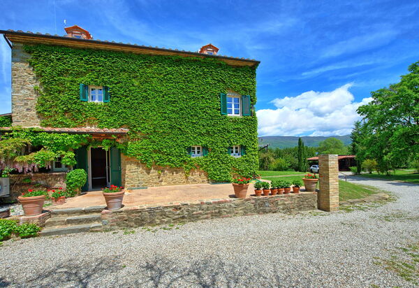 Villa Edo: Draussen, Garten