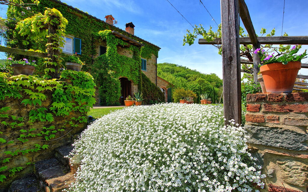 Villa Edo: Garden, Outdoor