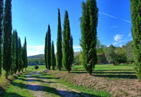 Villa Gualchiere: Haupteingang