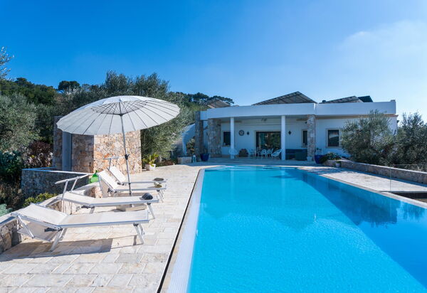 Villa Modigliani: zwembad