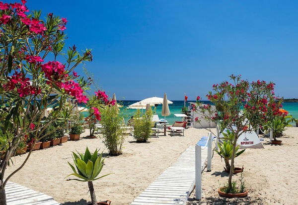 Villa La Plage: Sommer