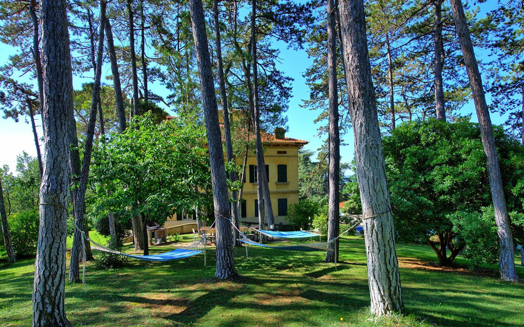 Villa Cuculo: Trädgård