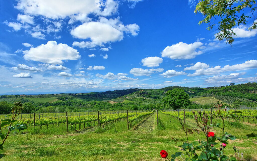 Maggiano: Scenic View