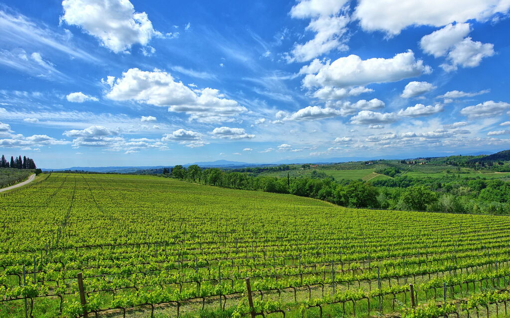 Maggiano: Scenic View