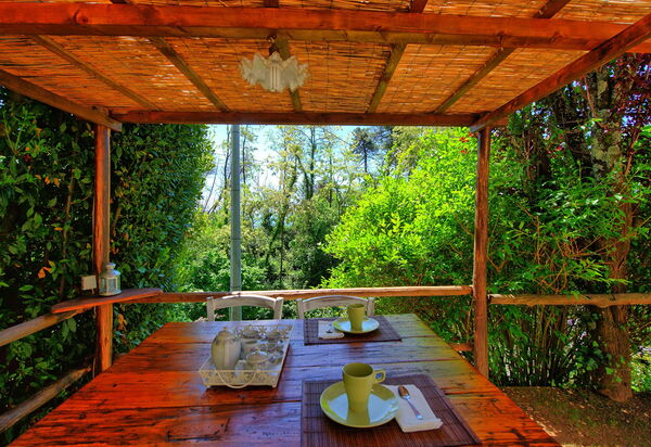 Casale Di Cozzile: Garten