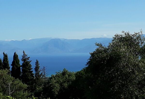 Villa Melodia: Visningar