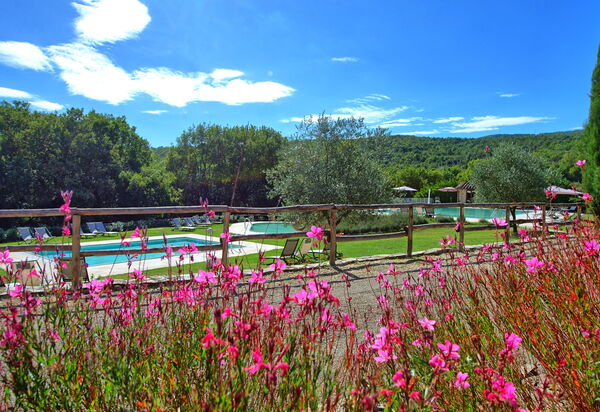 Borgo Mulignone: бассейн, Сад