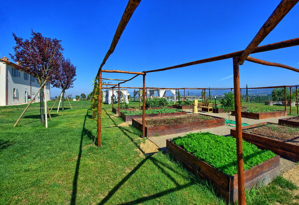 Il Sole Di Vino: Aktivitäten, Garten