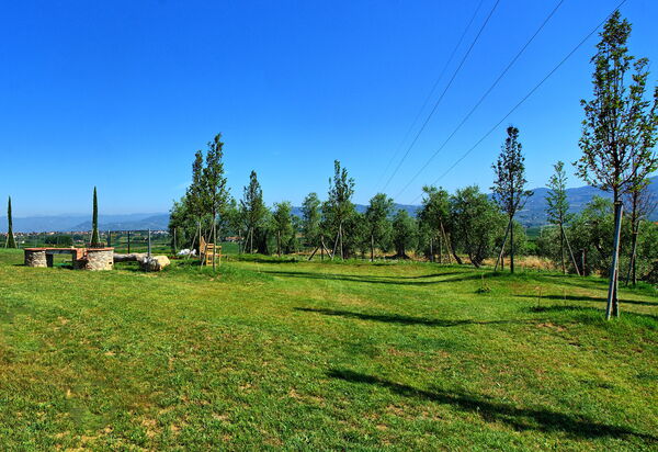 Il Sole Di Vino: Ansichten, Garten
