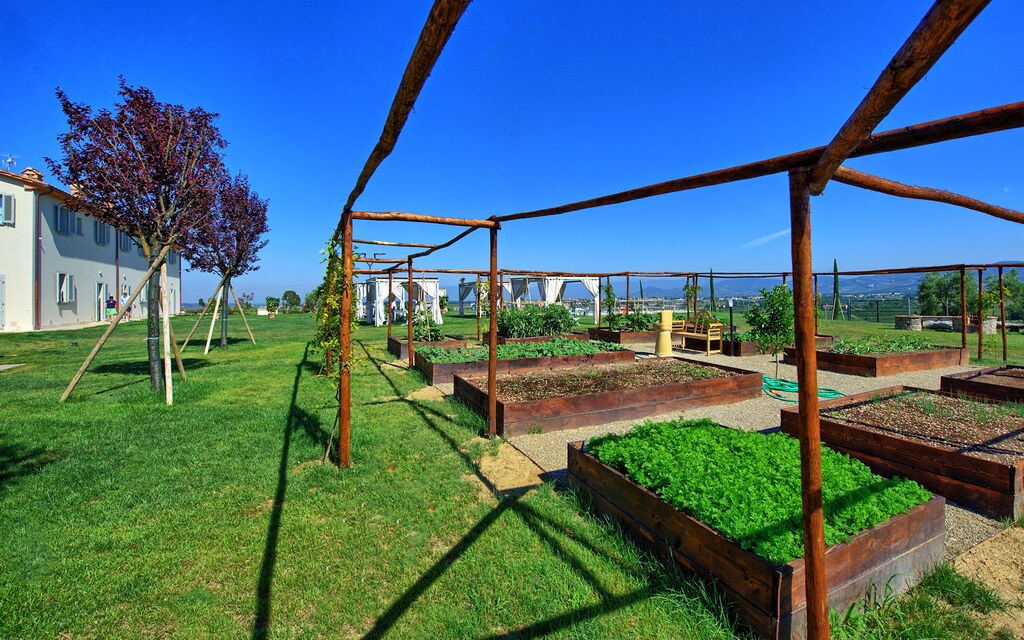 Il Sole Di Vino: Attività, Giardino