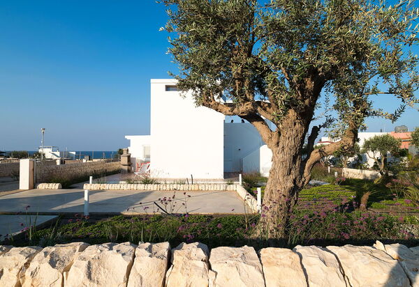 Villa San Lorenzo Palma: Draussen, Garten