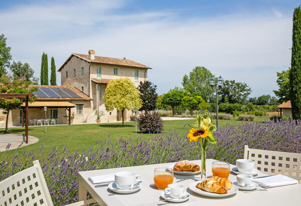 Villa Apollinare: Garden, Outdoor