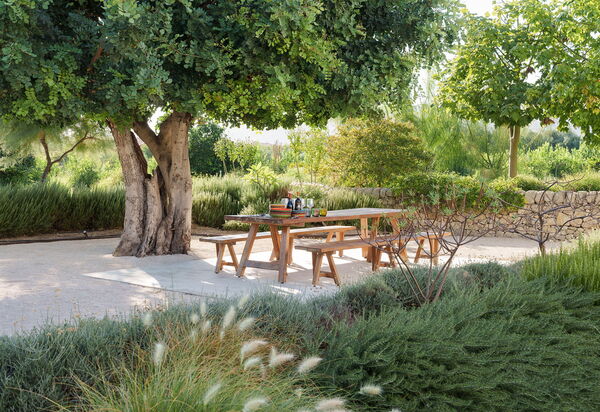 Villa Degli Aranci: Eksteriør, Hage, Utendørs