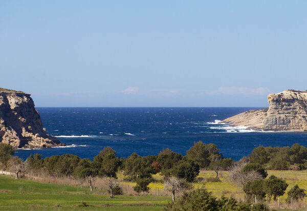 Cala Conta Dream: Garden, Outdoor, Scenic View