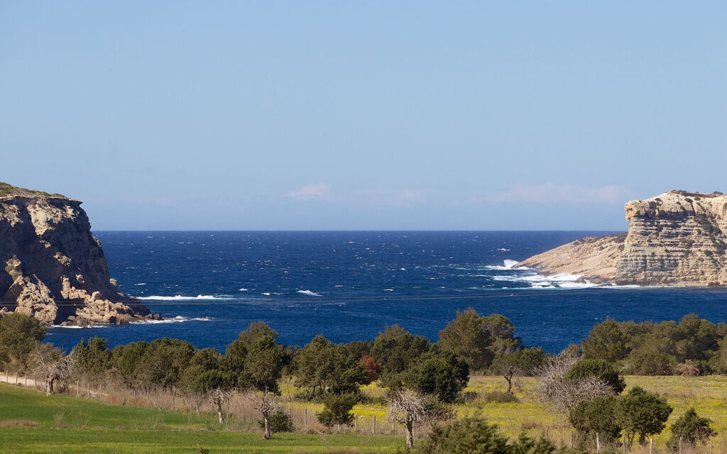 Cala Conta Dream: Garden, Outdoor, Scenic View