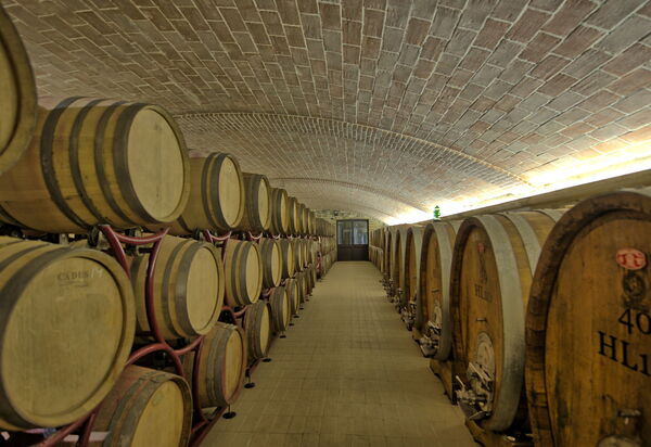 Villa Le Buche: Activities, Amenities