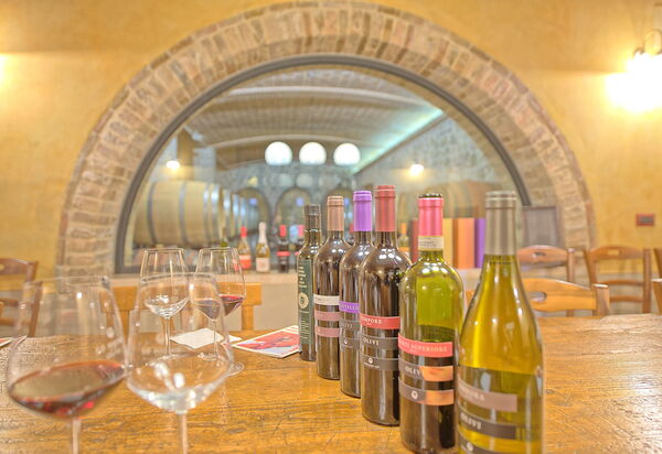 Villa Le Buche: Activities, Amenities