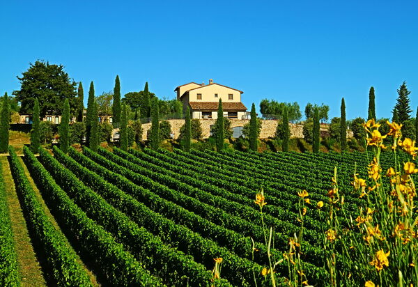 Villa Le Buche: Outdoor, Scenic View, Summer