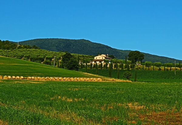 Villa Le Buche: Scenic View