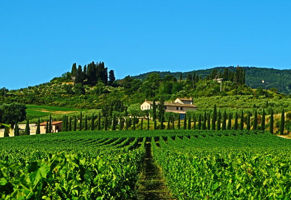 Villa Le Buche: Scenic View