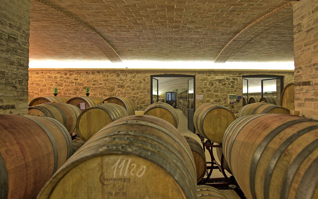 Villa Le Buche: Activities, Amenities