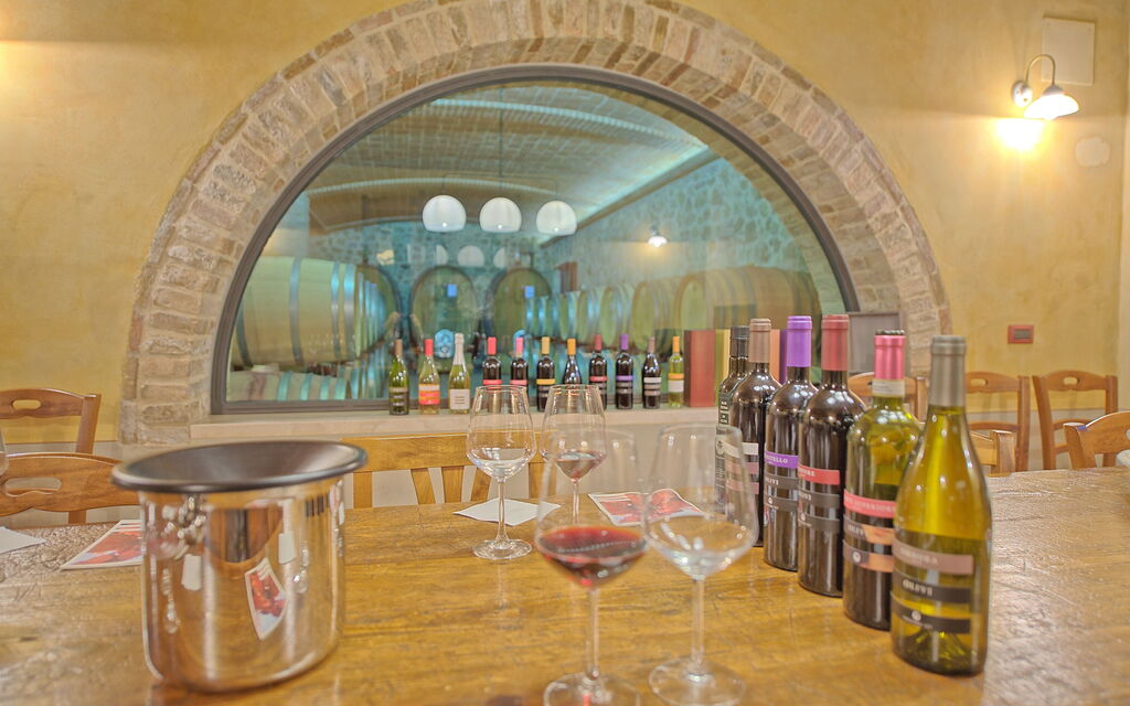 Villa Le Buche: Activities