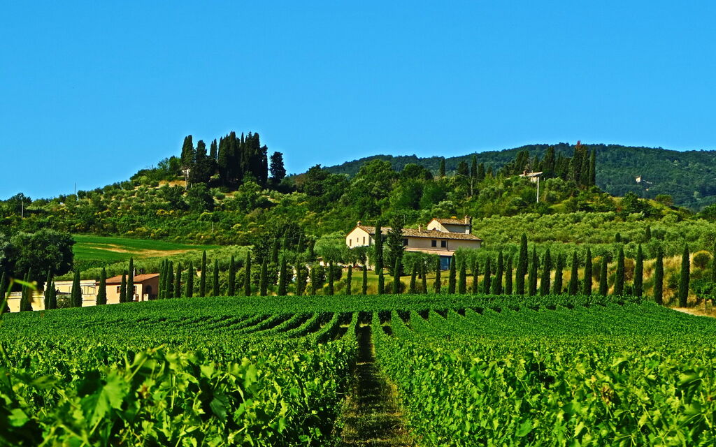 Villa Le Buche: Scenic View