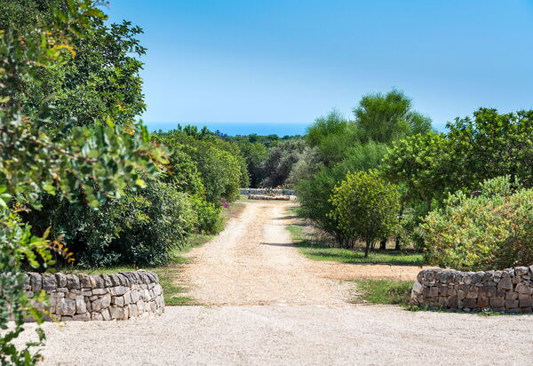 Villa Dimora Pura: Draussen, Garten