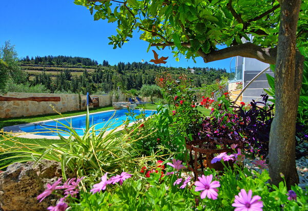 Villa Eftychia: бассейн, Открытый, Сад