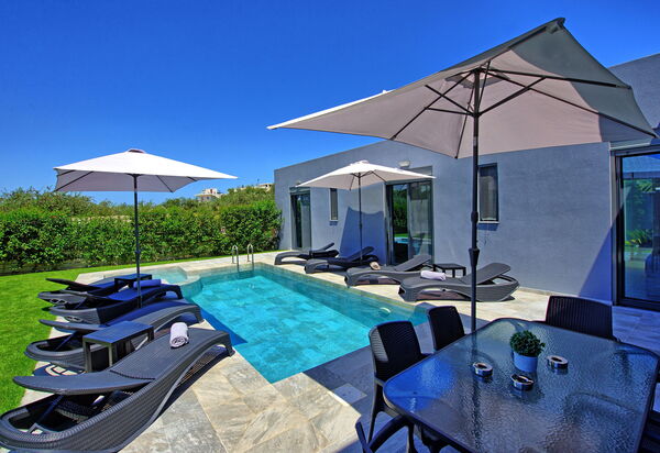 Villa Zaneti: bassin, Été, Extérieur, Jardin