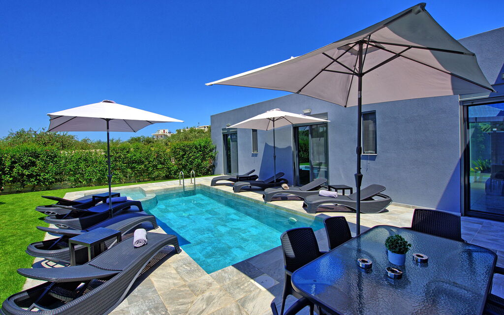 Villa Zaneti: all'aperto, Estate, Giardino, Piscina