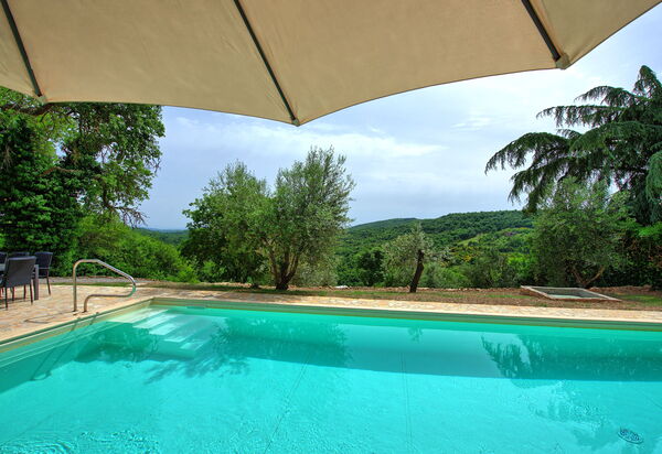 Villa Collina: Schwimmbad