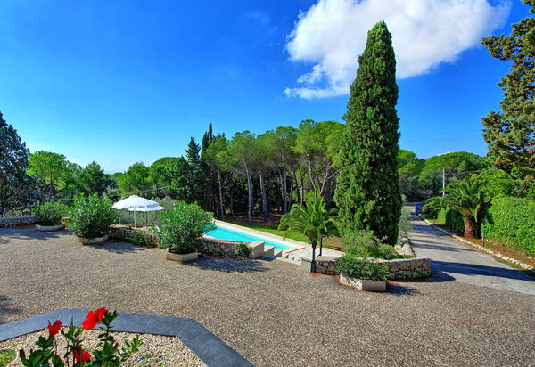 Nerodavola: Draussen, Garten