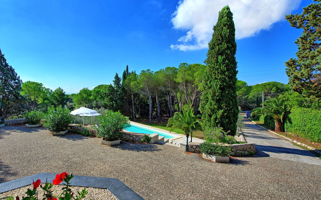 Nerodavola: Garden, Outdoor