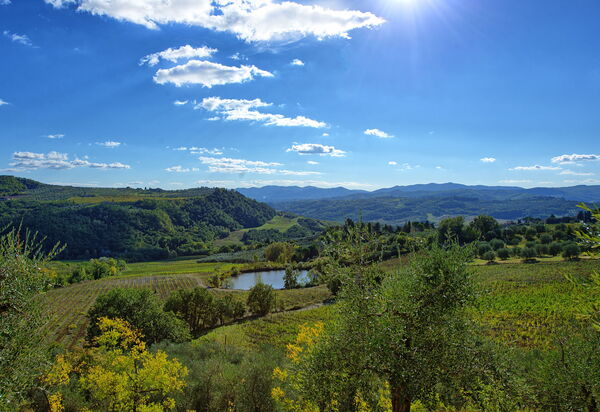 San Guido: Ansichten, Draussen