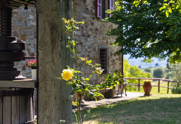 San Guido: Außen, Draussen, Garten