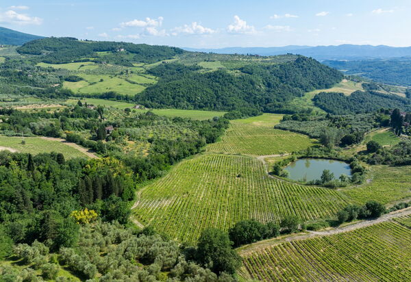 San Guido: Ansichten, Draussen