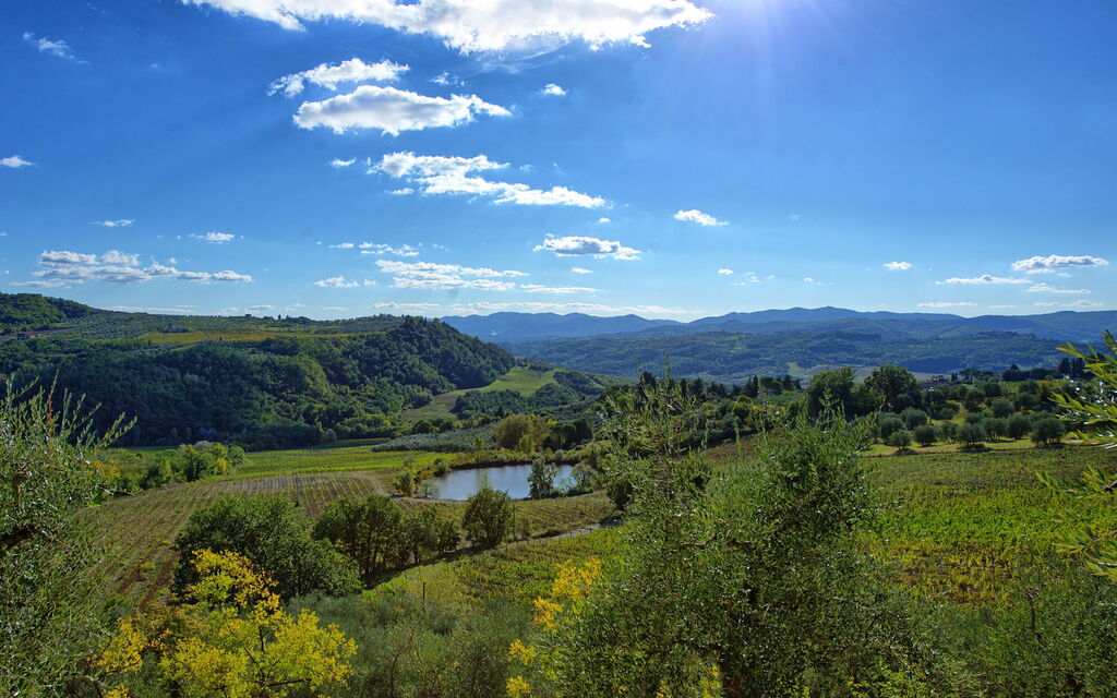 San Guido: Взгляды, Открытый